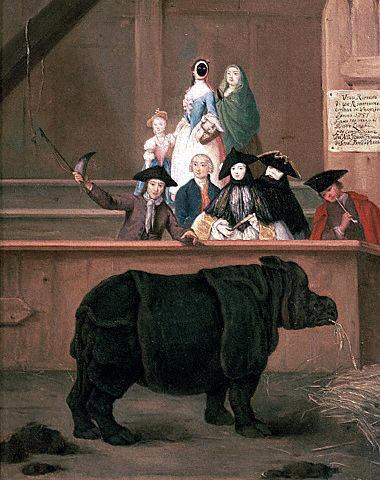 The Rhinoceros by Pietro Longhi ca. 1751