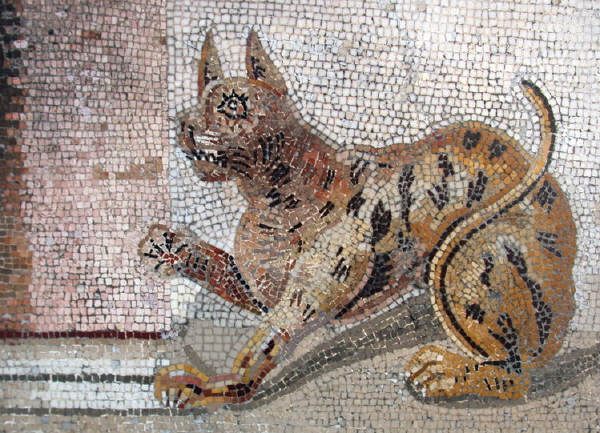 Cat mosaic from Pompeii