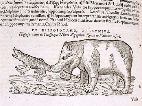 Hippopotamus With Crocodile From Historiae Animalium ca 1551-1558