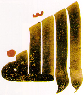 Maghribi Kufic. With diacriticals in red, written on gazelle skin