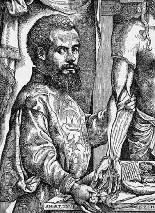 Andreas Vesalius