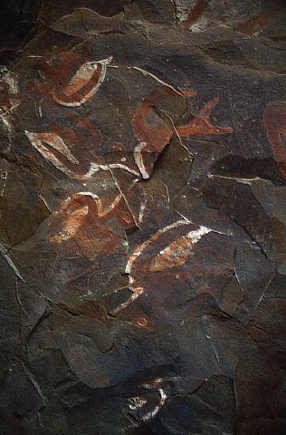 Petroglyphs on Easter Island