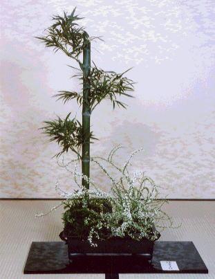 Ikebana