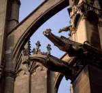 Gargoyles and Flying Buttresses. Metz, France