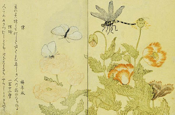 A Picture Book of Selected Insects by Utamaro ca. 1788