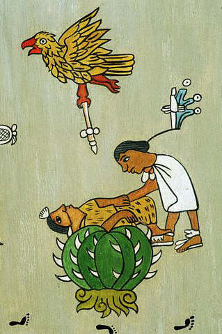 Aztec Human Sacrifice